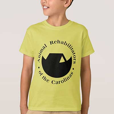 The Wolves - Image 4